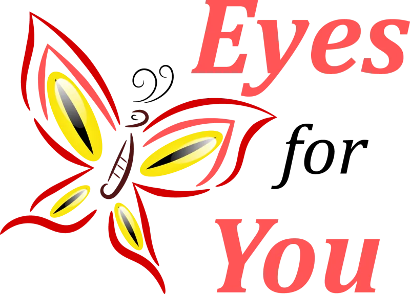 Eyes4U project