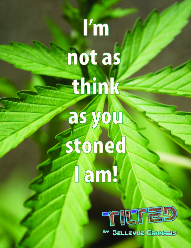 I'm not as think as you stoned I am poster