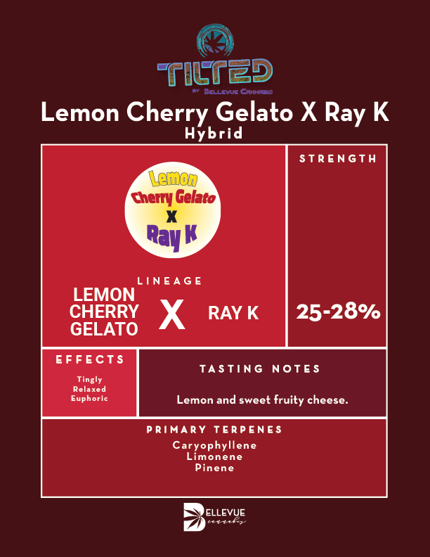 Lemon Cherry Gelato x Ray K