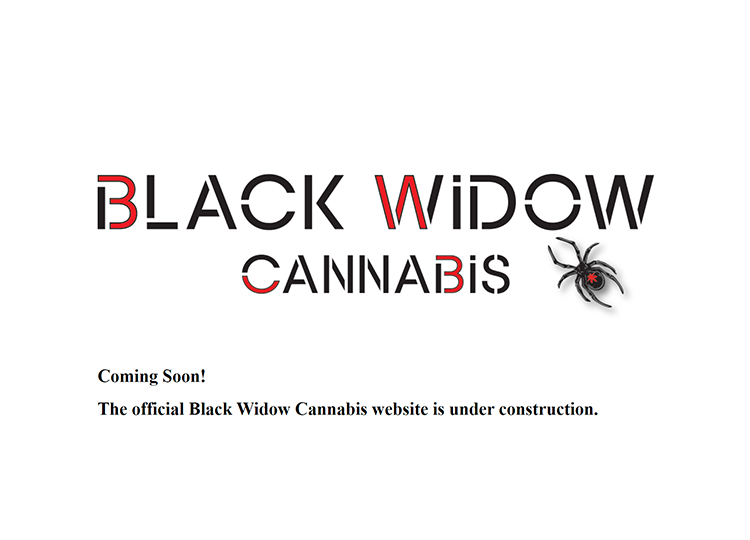 Black Widow Cannabis Web Site Parking Page